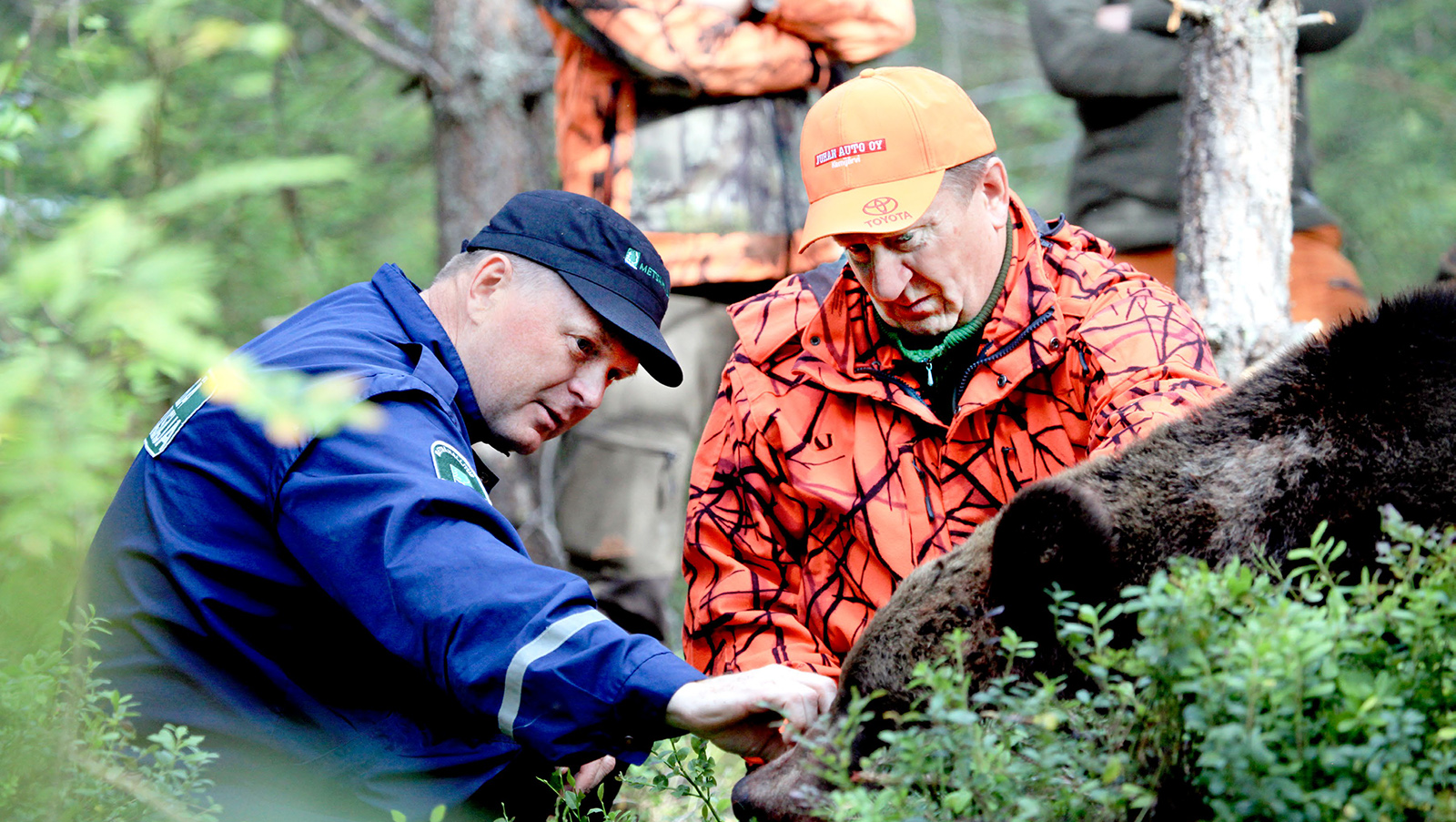 Poliisi ja metsästäjä karhun raadon vieressä